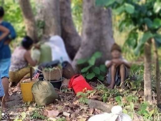 ဆန်ရှားပြီး ဈေးကြီးတာကြောင့် နတ်တလင်းကစစ်ရှောင်တွေ စပါးထောင်းပြီး စားနေရ