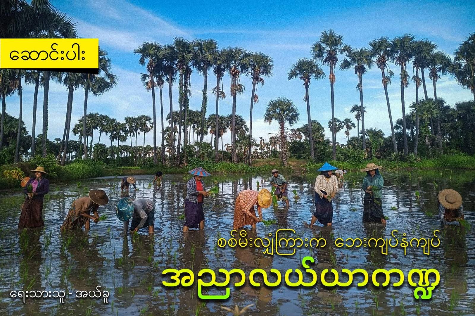 စစ်မီးလျှံကြားက ဘေးကျပ်နံကျပ် အညာလယ်ယာကဏ္ဍ