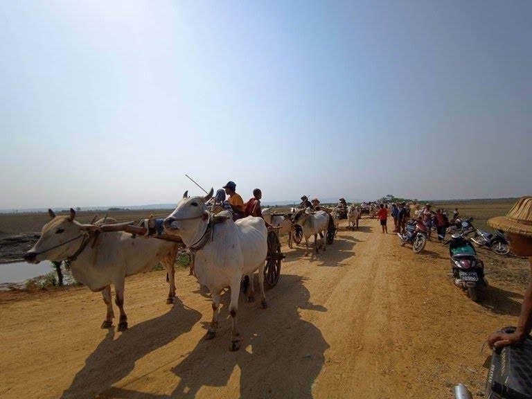 စစ်ကိုင်းနဲ့ ဝက်လက်ကို စစ်ကောင်စီတပ်က ၄ ရက်ဆက် စစ်ကြောင်းထိုးနေလို့ ရွာ ၂၀ ကျော်က ဒေသခံတွေ ထွက်ပြေးနေရ