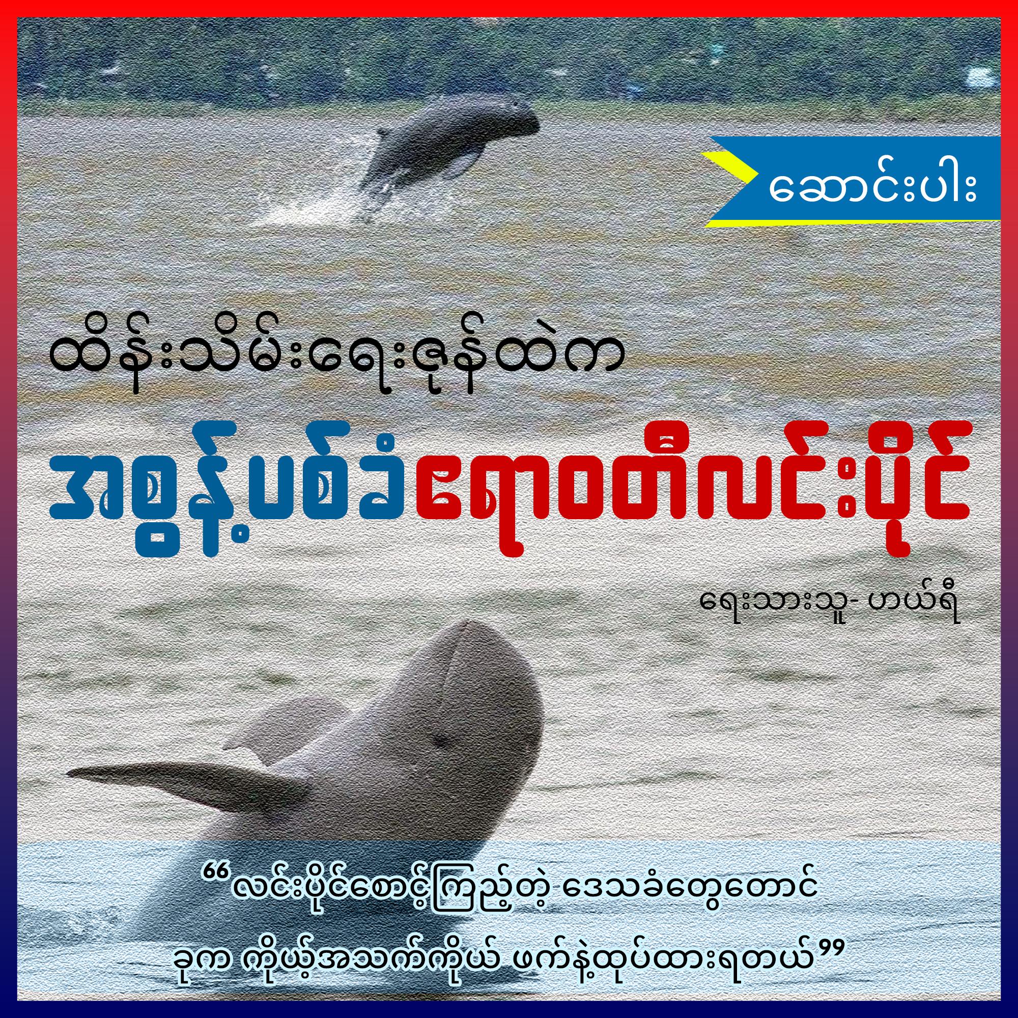 ထိန်းသိမ်းရေးဇုန်ထဲက အစွန့်ပစ်ခံ ဧရာဝတီလင်းပိုင် (ဆောင်းပါး)