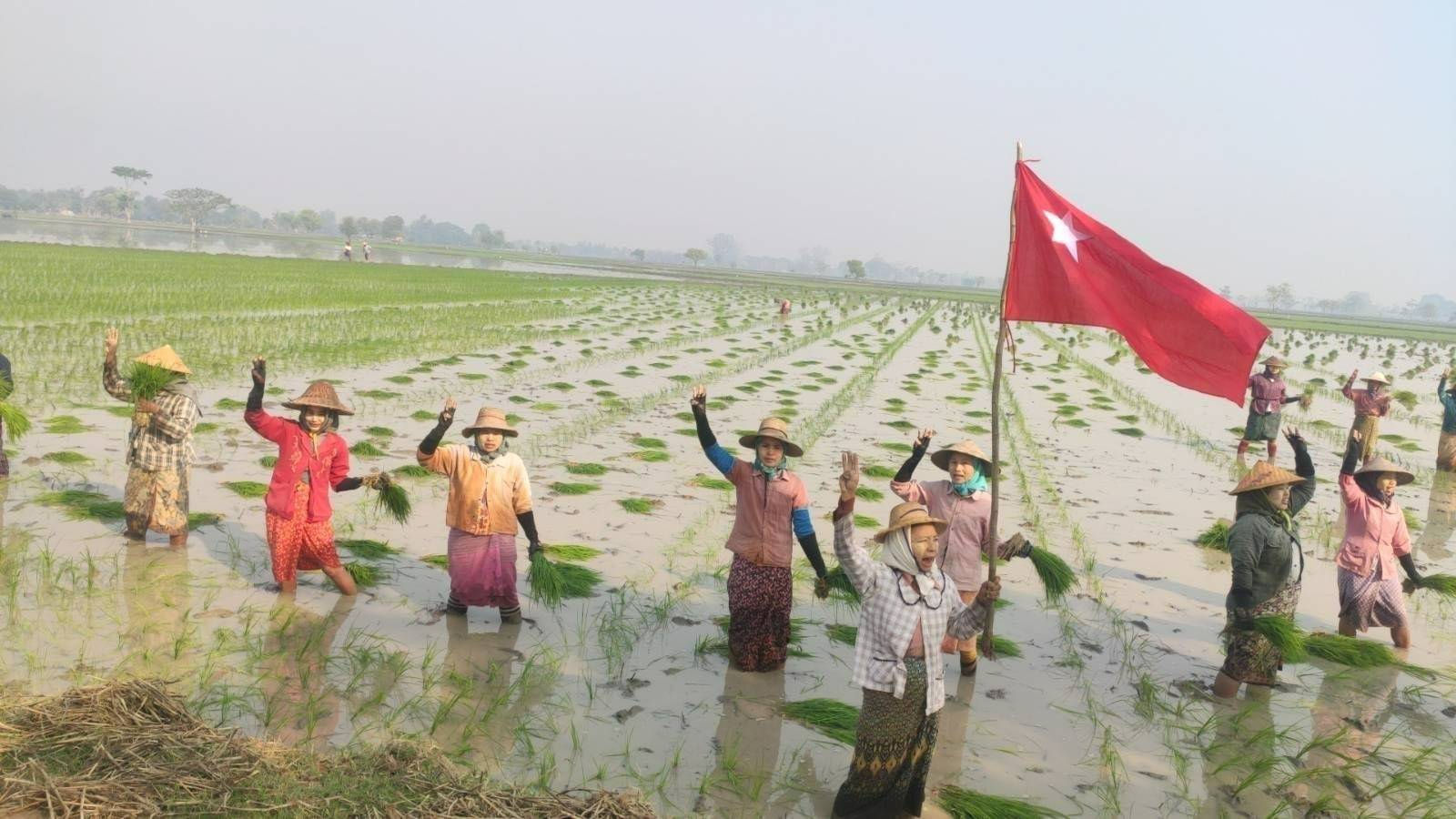 ဖက်ဆစ်တော်လှန်ရေးနေ့အထိမ်းအမှတ် ကောက်စိုက်ရင်းသပိတ်မှောက်