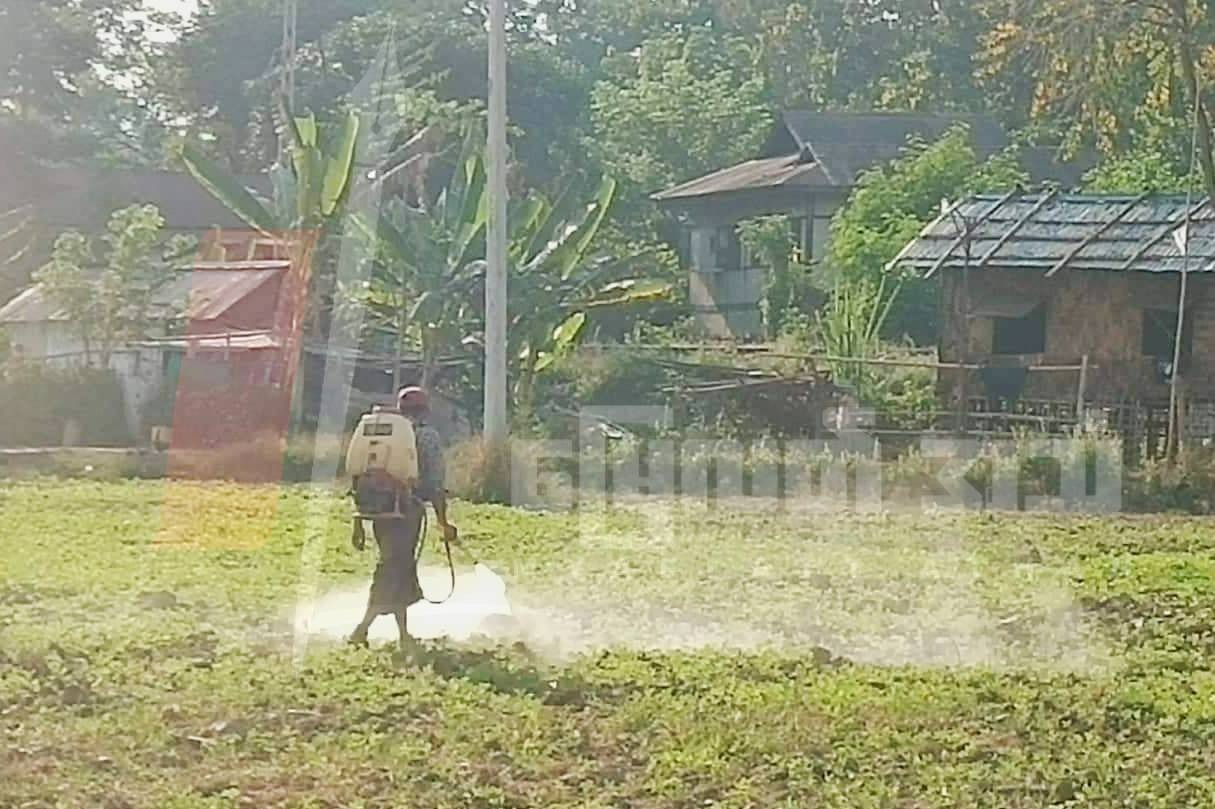 ပေါင်းသတ်ဆေးနဲ့ စိုးရိမ်ဖွယ်လယ်သမားတို့ ကျန်းမာရေး