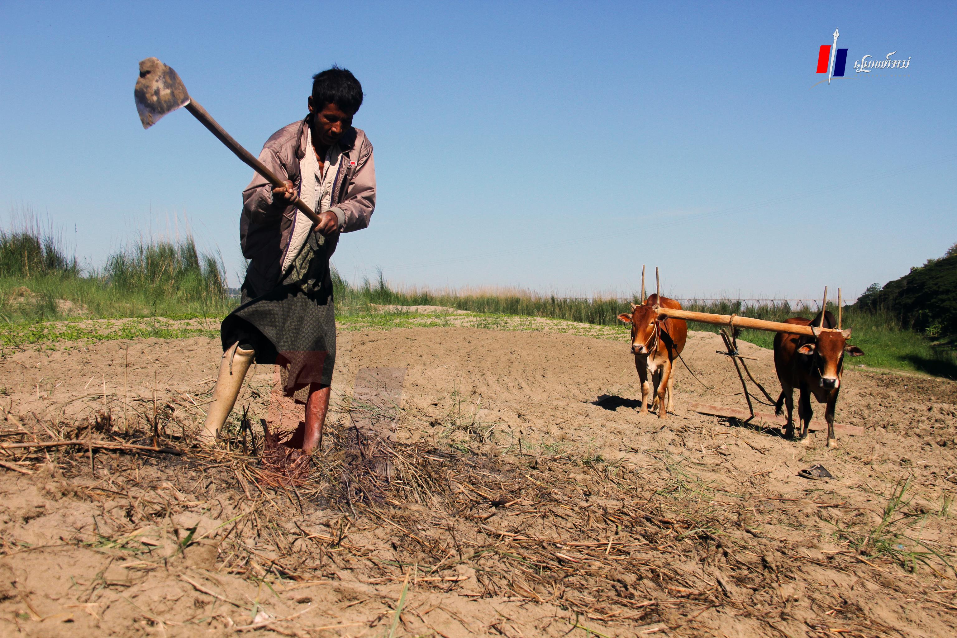 မိုးလုံးဝမရွာတာနဲ့ မြေဆီလွှာရေခမ်းခြောက်တာတွေကြောင့် စိုက်ပျိုးရေးအတွက် ပြင်ဆင်နိုင်ခြင်း မရှိသေး