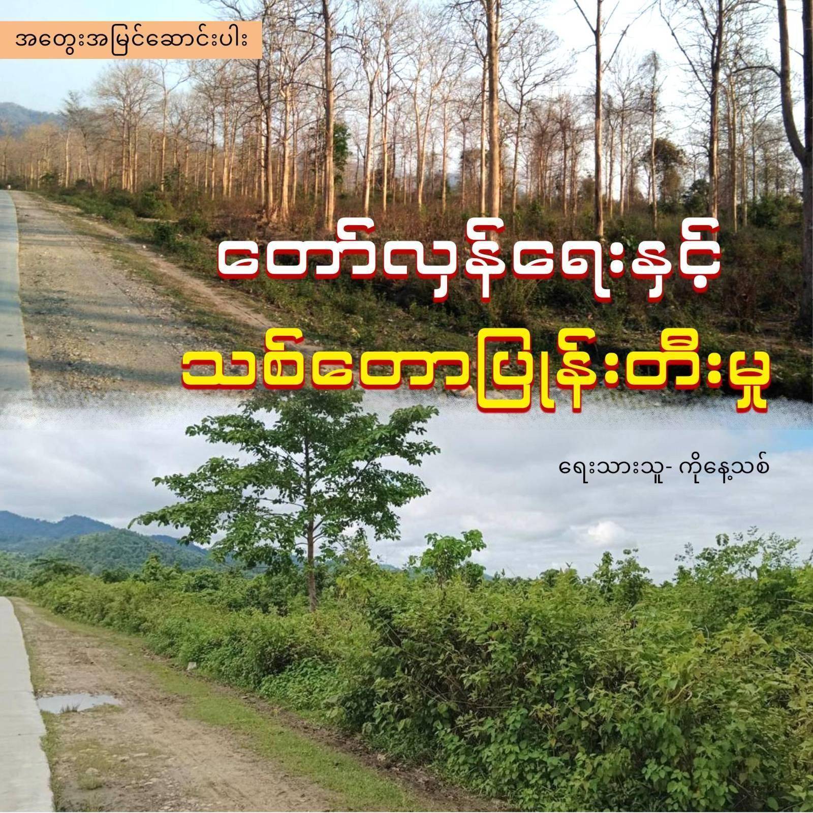 တော်လှန်ရေးနှင့် သစ်တောပြုန်းတီးမှု (အတွေးအမြင်ဆောင်းပါး)