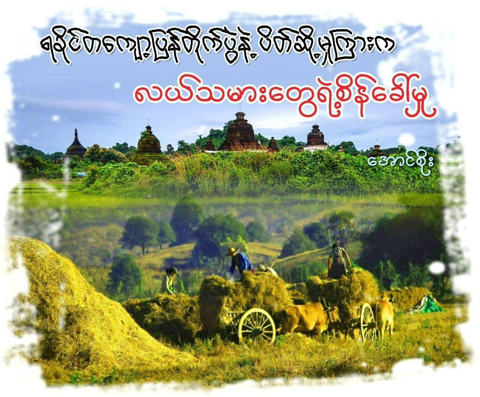 ရခိုင်တကျော့ပြန်တိုက်ပွဲနဲ့ ပိတ်ဆို့မှုကြားက လယ်သမားတွေရဲ့ စိန်ခေါ်မှု