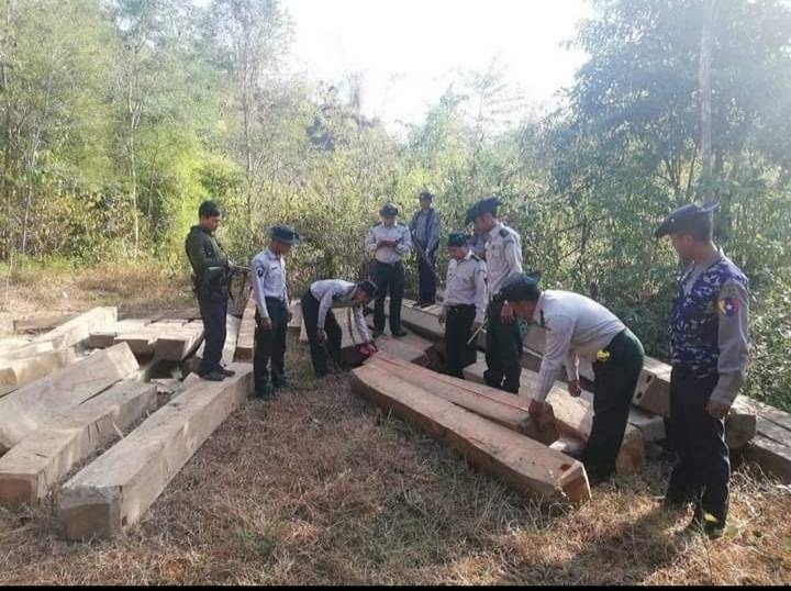 စစ်အာဏာသိမ်းပြီးနောက်ပိုင်း မကွေးဒေသအချို့ စက်ယန္တယားများဖြင့် သစ်ခိုးခုတ်မှုပိုများလာ